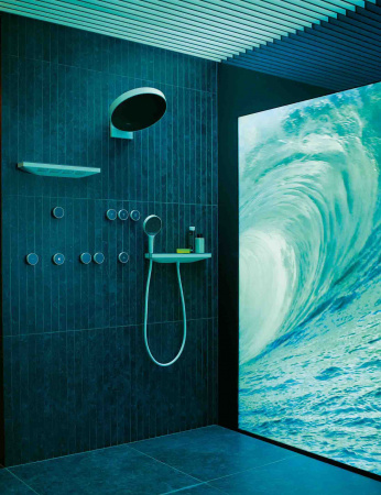 ��������� ����������� Hansgrohe Rainfinity Porter 500 26843700 � ������ � ����������