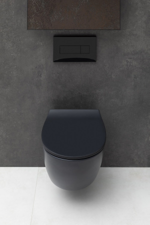 ������ ��������� Allen Brau Fantasy 4.11004.31 ������ �������