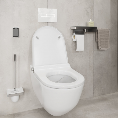 ������ ��������� Laufen Riva 8.2069.1.400.000.1 � ��������� LCC