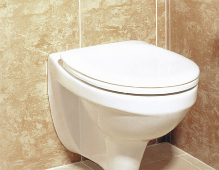 �������� Cersanit Delfi Leon Black ������ �����