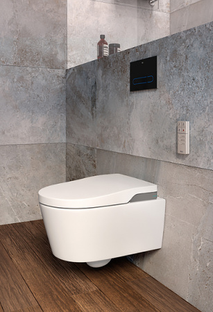 ������ ��������� Roca Inspira in-wash