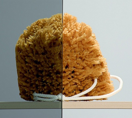 ������� ������ Radaway Torrenta KDJ 90 ������ ������ L