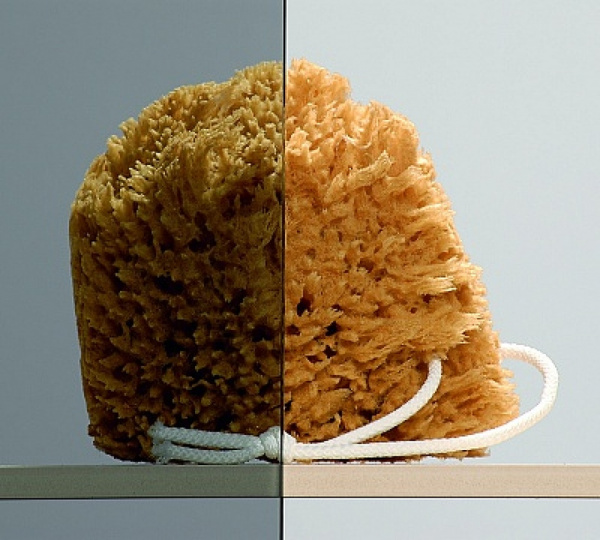 ������� ������ Radaway Torrenta KDJ 90 ������ ������ L