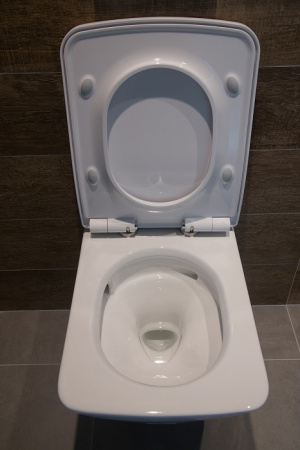 ������ ��������� Toto SP CW532Y � �����������