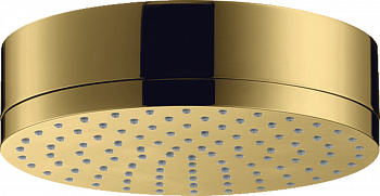 ������� ��� Axor Citterio 28489990 ������������ ������