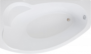 ��������� ����� Aquanet Sofia 00205391 170x90 L � ��������