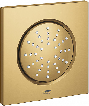 ������� �������� Grohe Rainshower F-Series 5 27251GN0 �������� �������